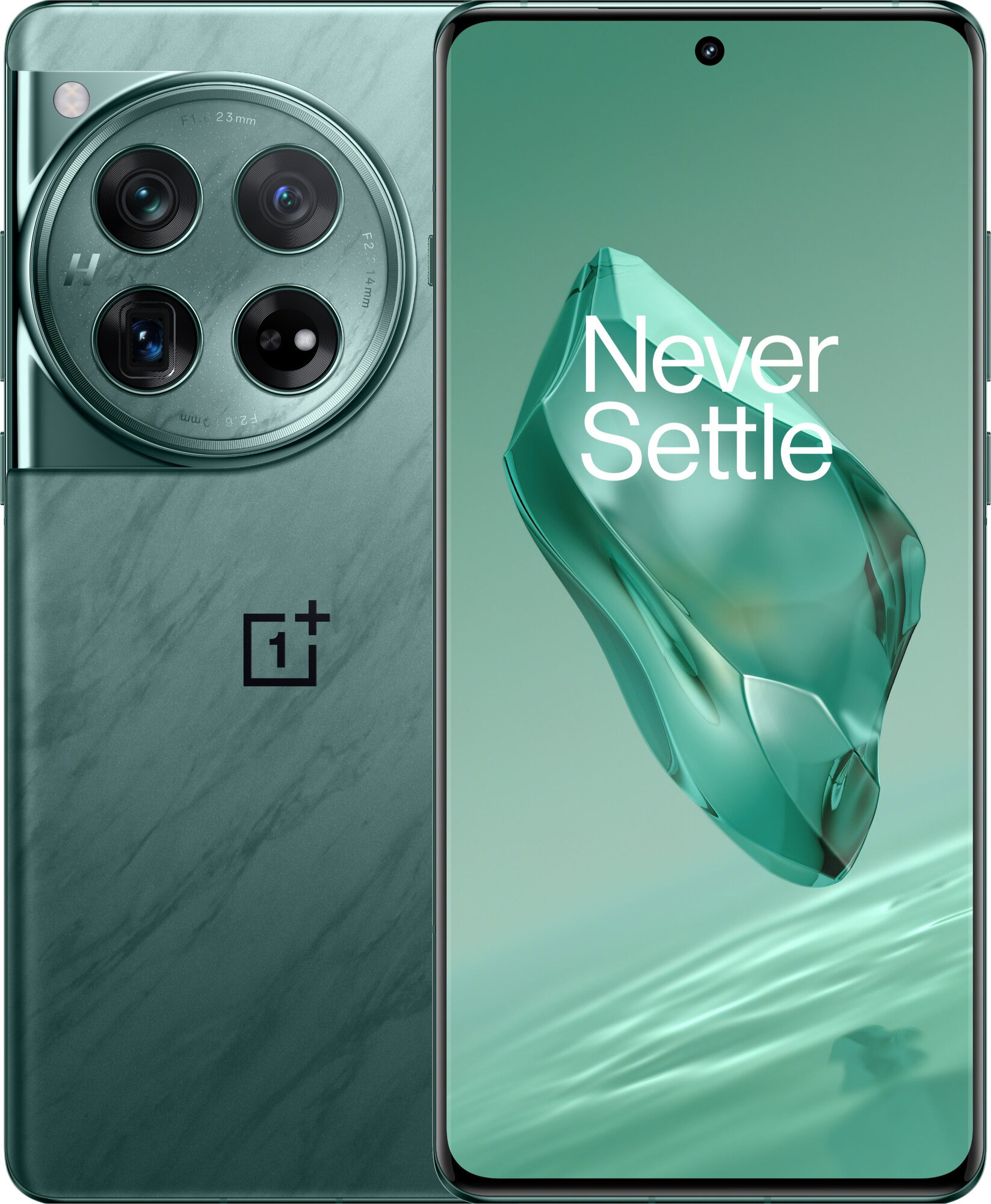 Купить Смартфон OnePlus 12 12/256Gb Flowy Emerald в Краснодаре