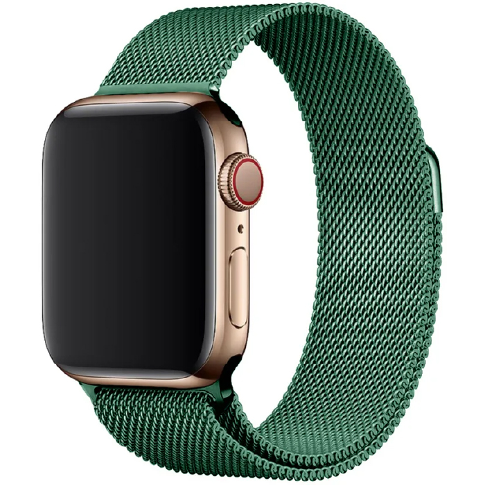 Milanese Apple Watch 38 40 41